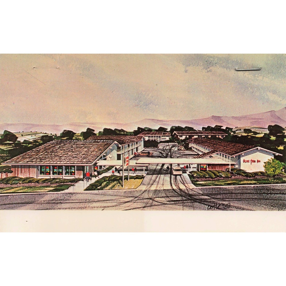 Olive Tree Inn San Luis Obispo CA Chrome Postcard Motel Roadside Americana Unpos - Picture 1 of 2